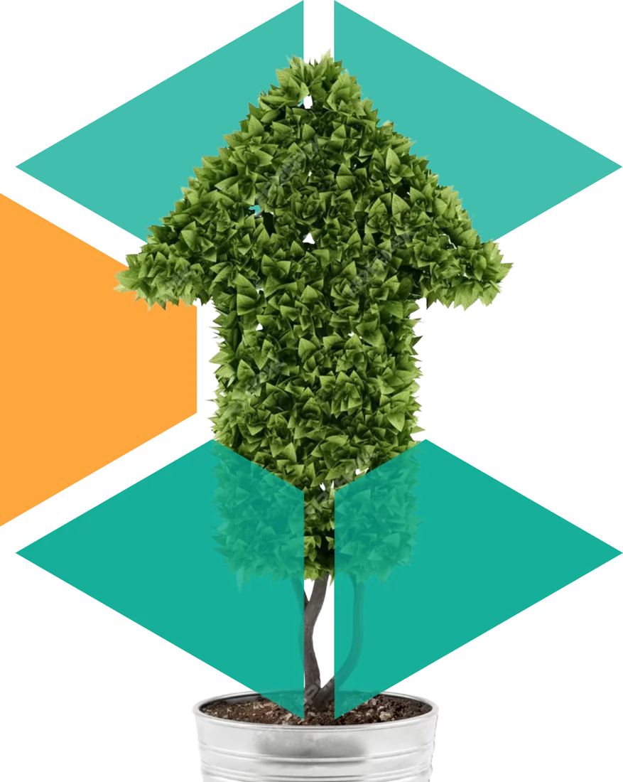 Topiary shaped like an upward arrow, set against the CBC Africa logo